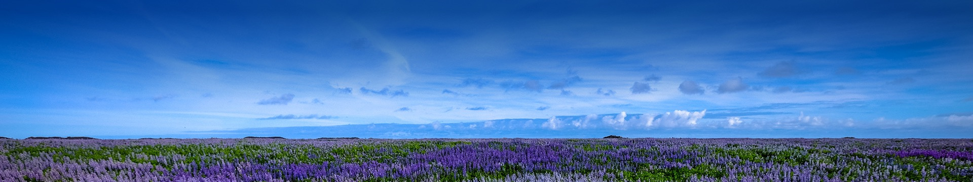 海口荔仙公墓